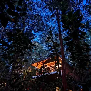Resort Coffee Acres, Kalpetta